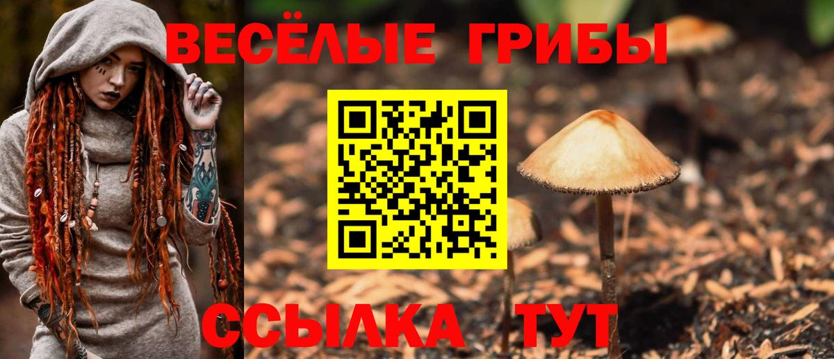 Алексин  Псилоцибиновые грибы ЛСД  Вход с VPN  Псилоцибиновые грибы прущие грибы 